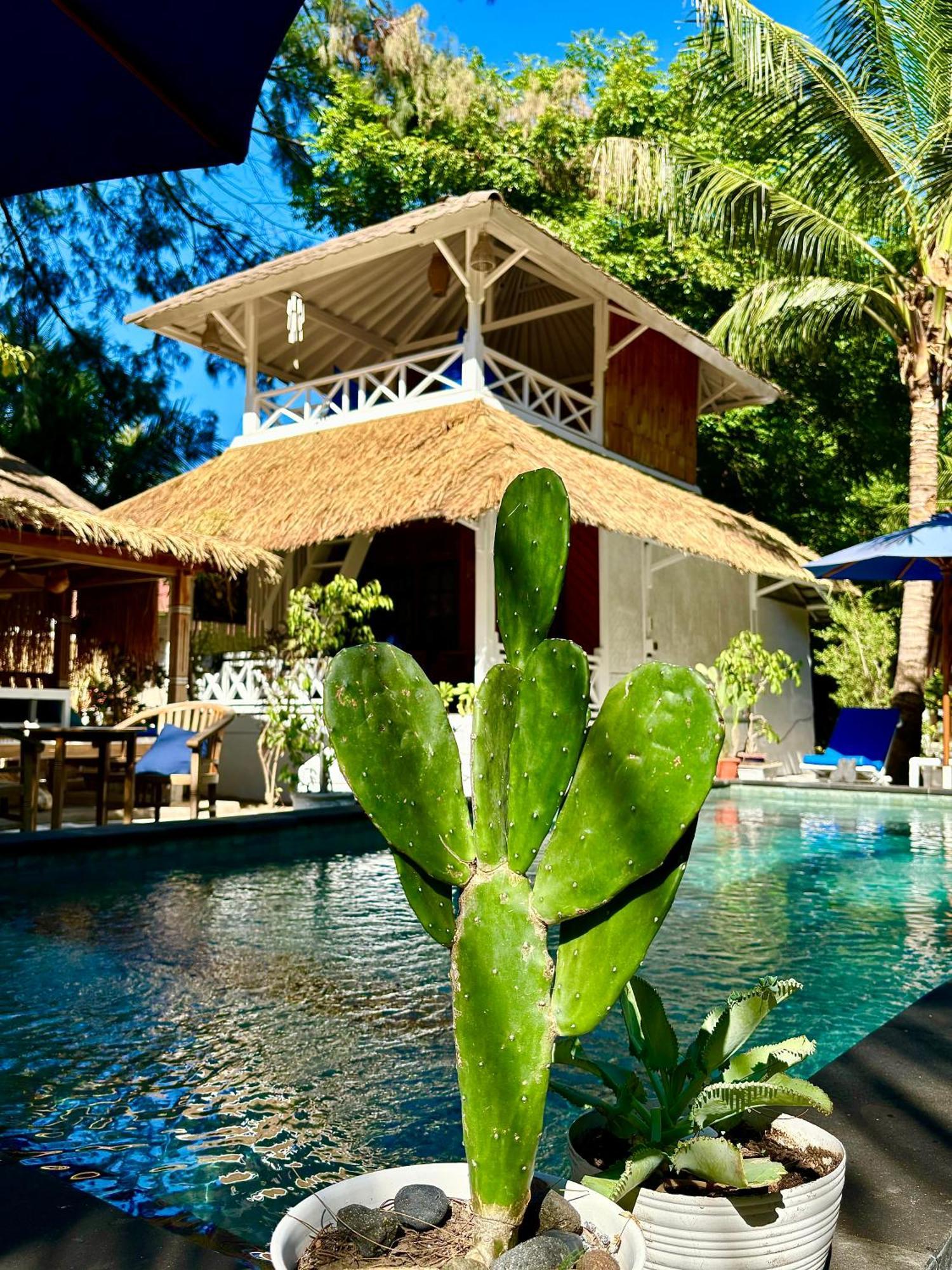 Alibaba Bungalows Gili Air Bagian luar foto