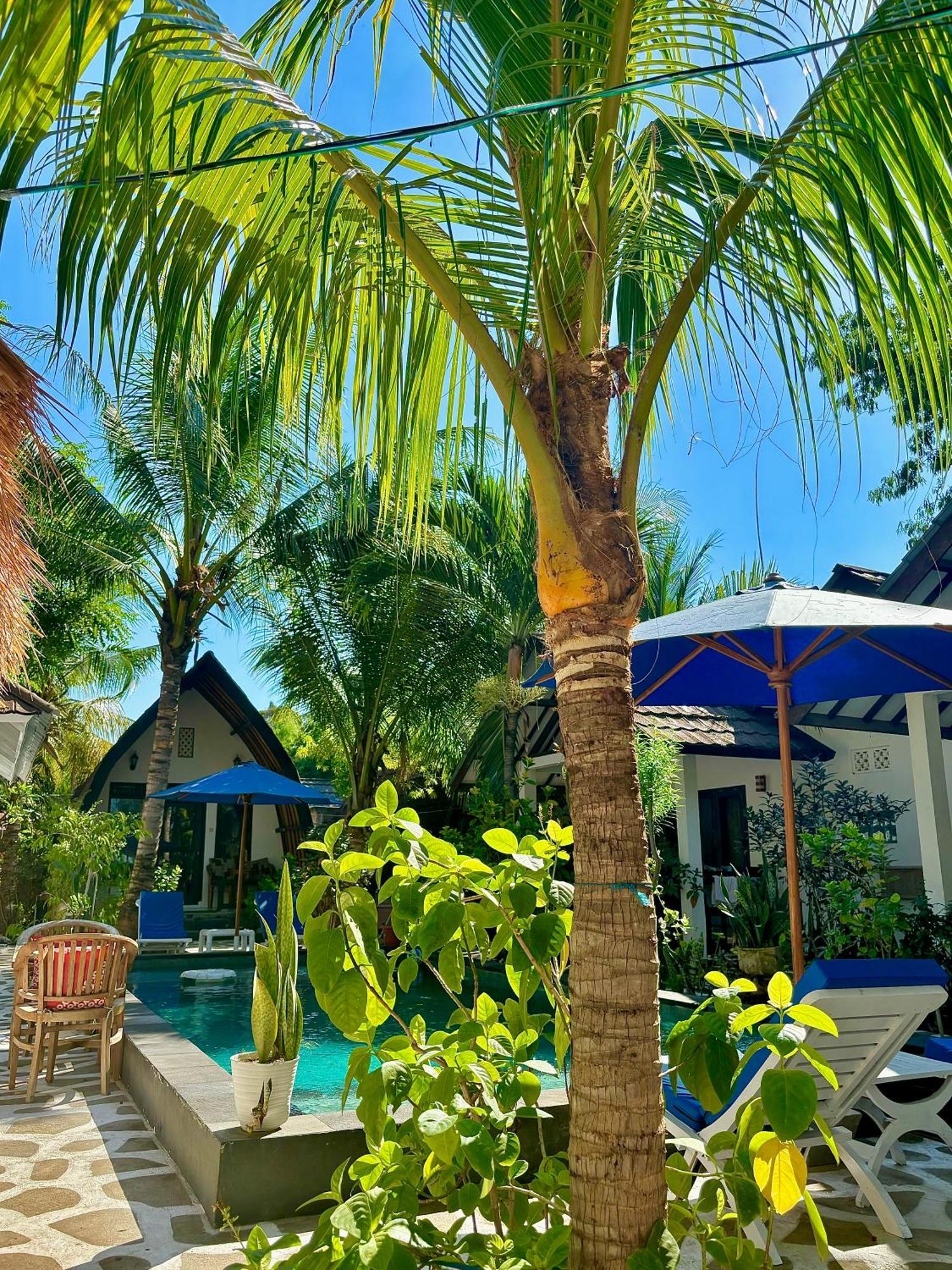 Alibaba Bungalows Gili Air Bagian luar foto